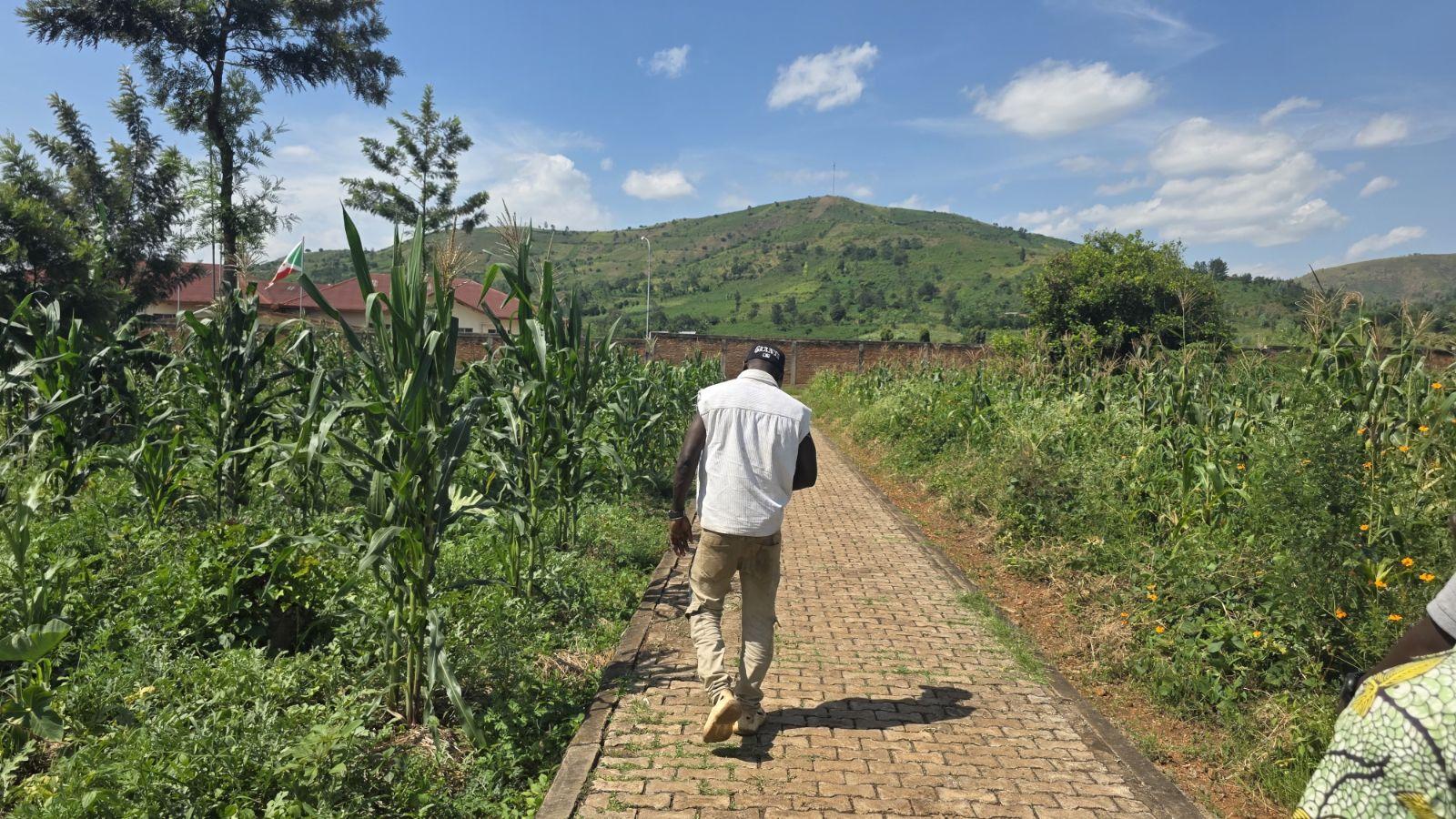 Rural landscape and field visit in Burundi