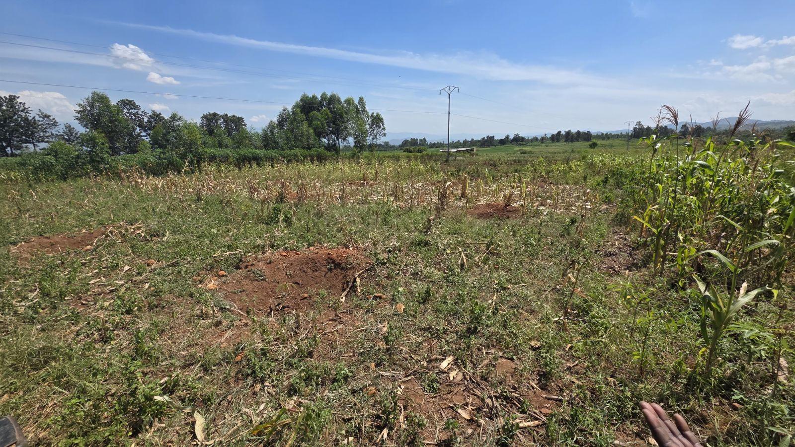 Agricultural field in Burundi affected by climate and livelihood pressure